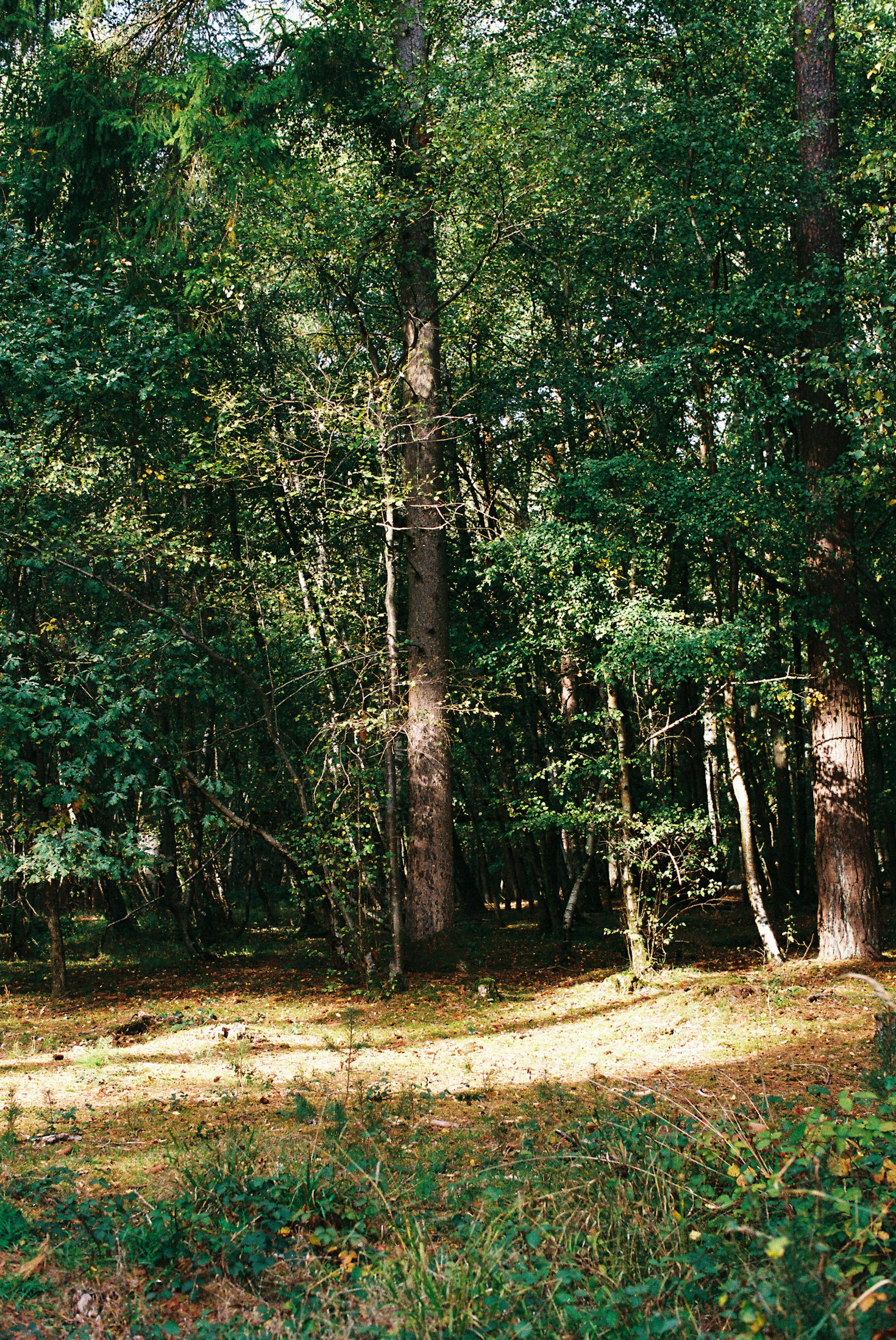 Wie Retreats helfen, Balance im Alltag zu finden